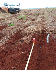 Prisma Agronegócios