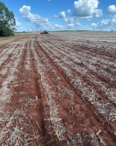 Prisma Agronegócios