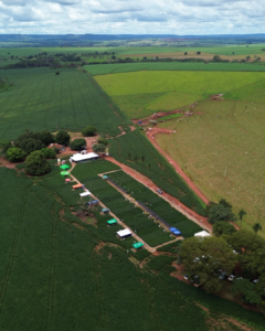 Prisma Agronegócios