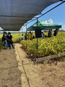 WhatsApp Image 2025-02-10 at 10.16.55 (2)